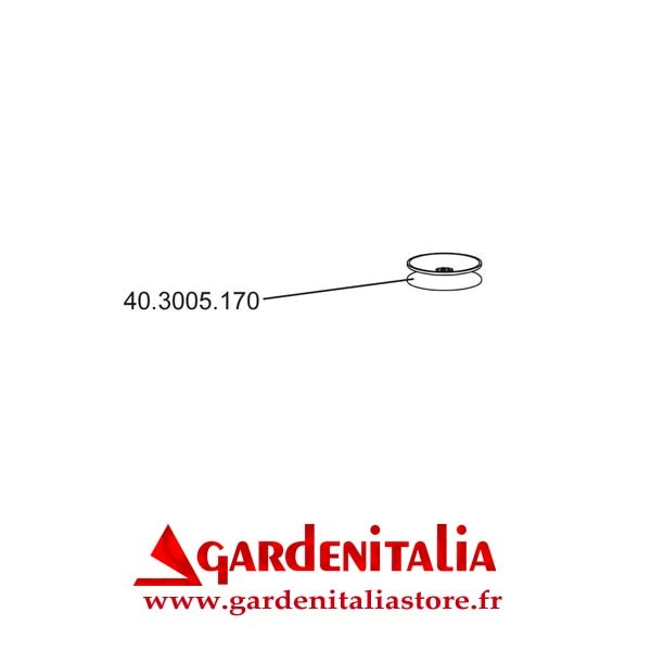 Poulie pour Fraise Multi Outil P70 EVO Eurosystems